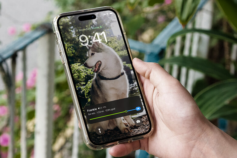 Live Activity - Stay Connected Without Opening the Averia Collar App