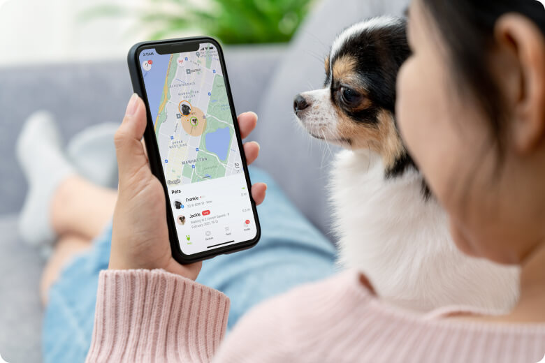 Track Multiple Dogs at the Same Time with Smart Map