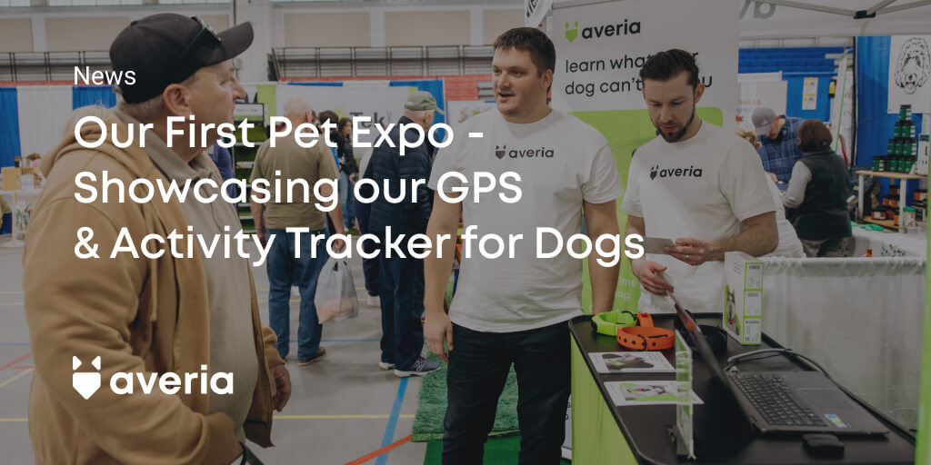 10 Best Smart Dog Collars With GPS Tracker | 2025