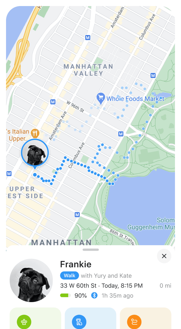 10 Best Smart Dog Collars With GPS Tracker | 2025
